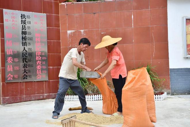 个县城创造罚款收入下降“奇迹”开元棋牌政府大楼旁可以摆摊这(图5)